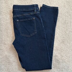 Daniel Cremieux Women's Skinny Jeans in Deep Navy